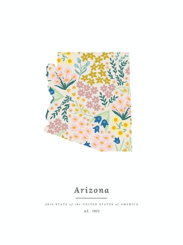 Arizona | Wildflower Mix
