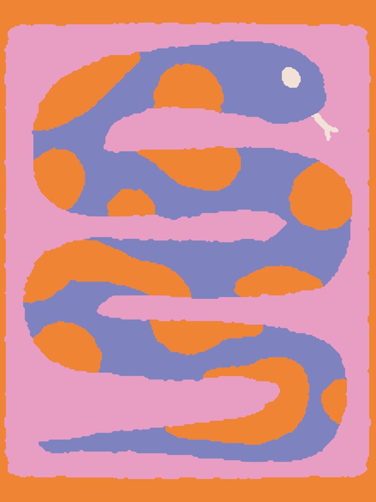 Snake On A Pink Background