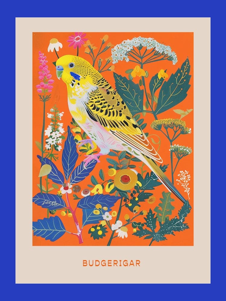 Spring Birds Poster Budgerigar 2
