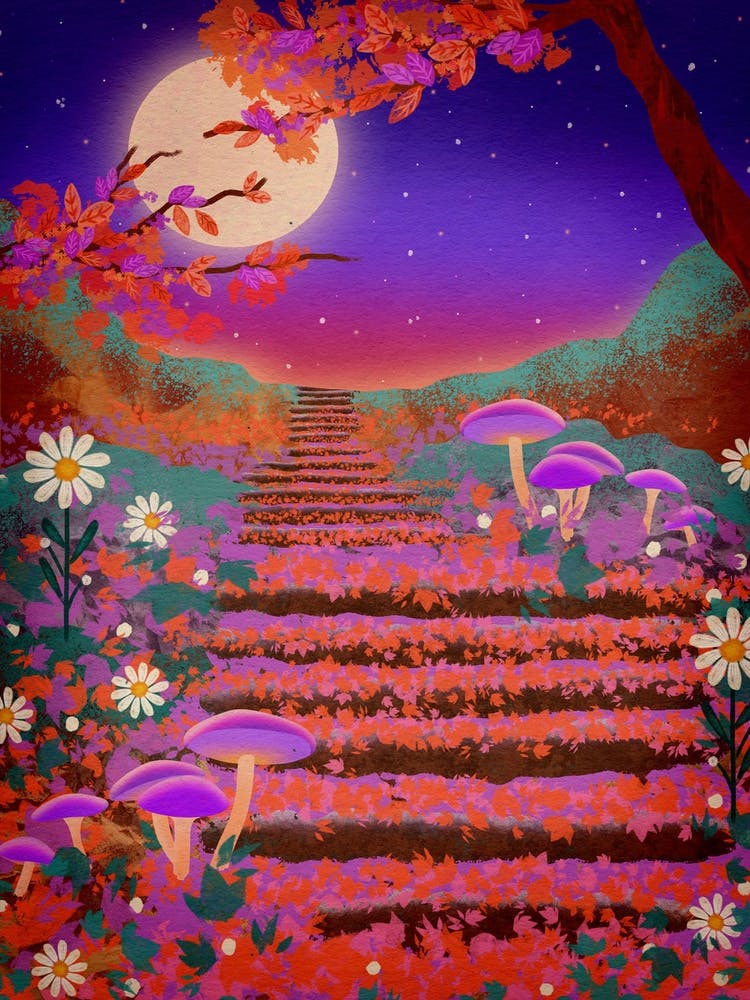 Night Garden