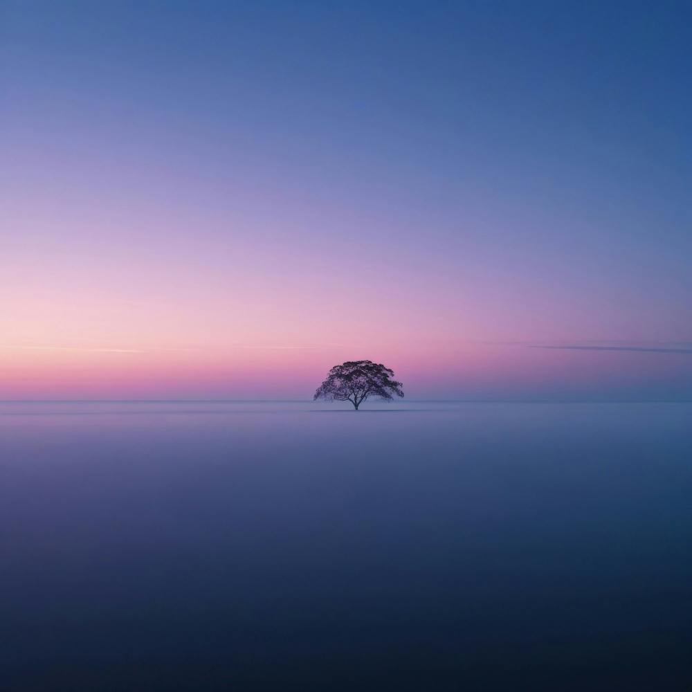 Lone Tree In The Fog 2