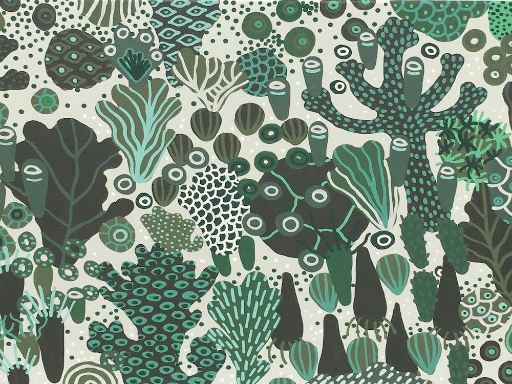 Reef Study 1