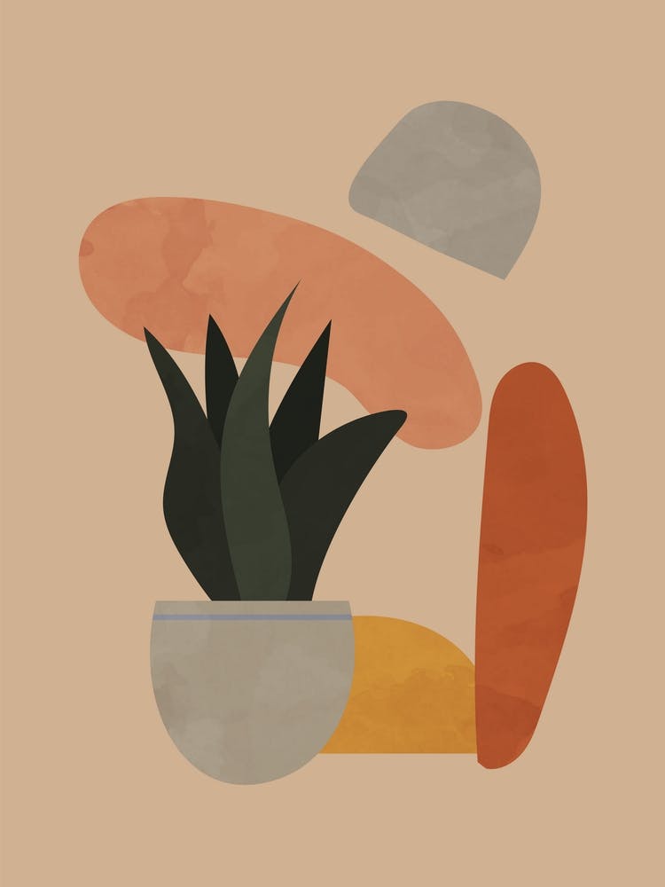 Boho Botanical Succulent