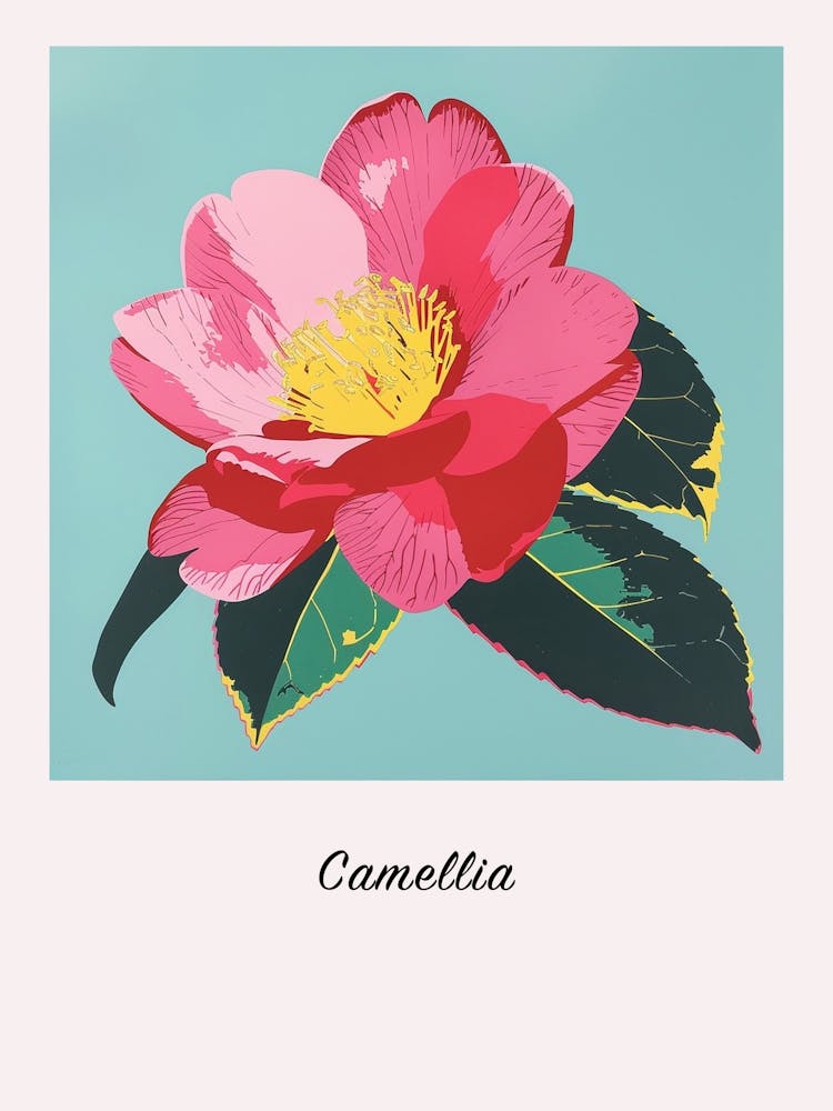 Camellia 1 Square Flower Illustration Poster