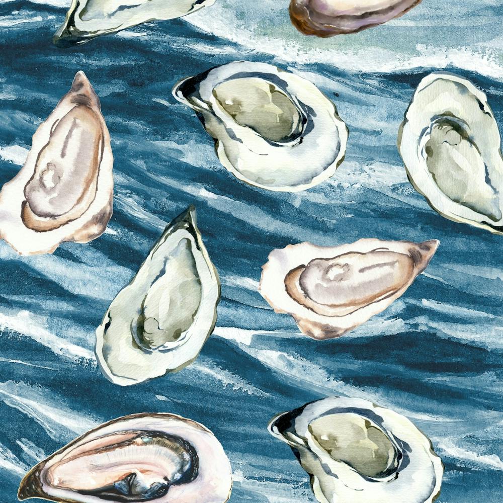 Oysters In The Sea