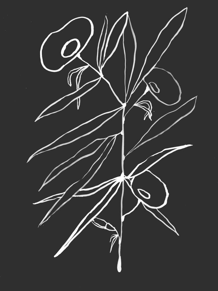 Three Roses