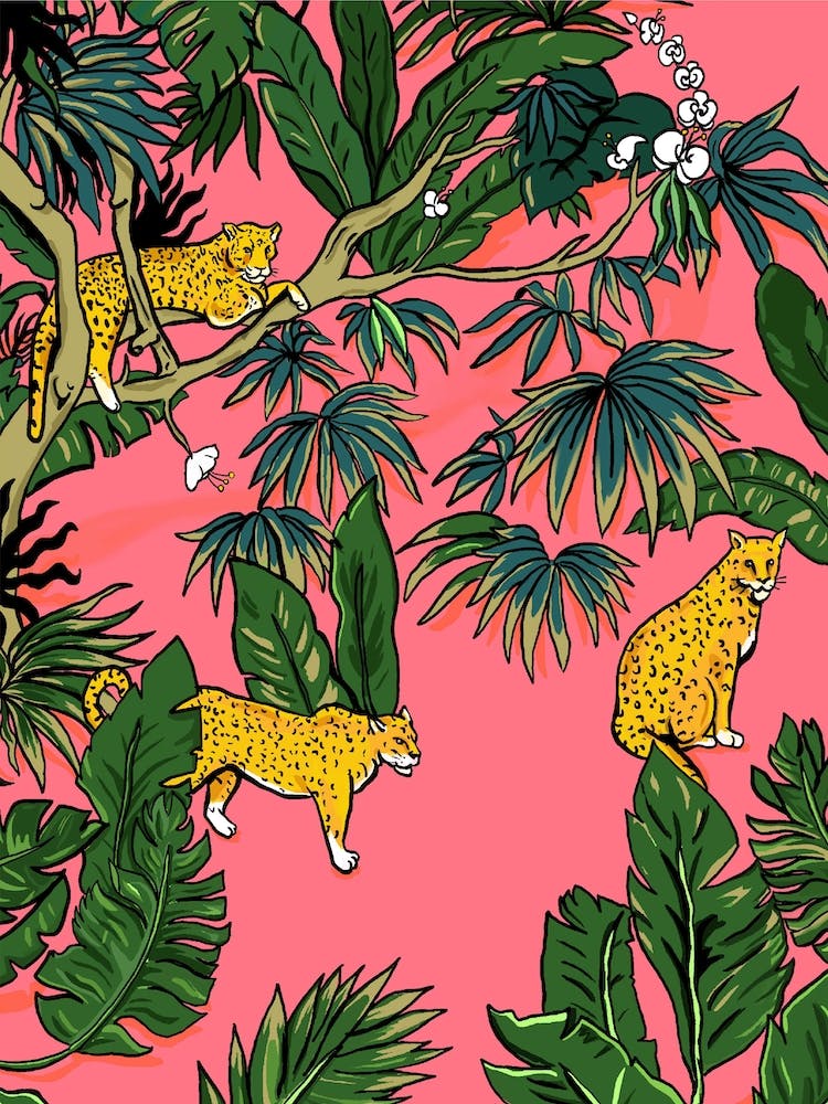 Tropical Leopard Jungle