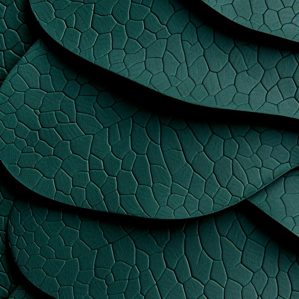 Green Leather Texture