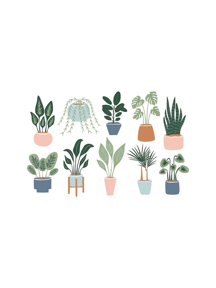 Plant Lover
