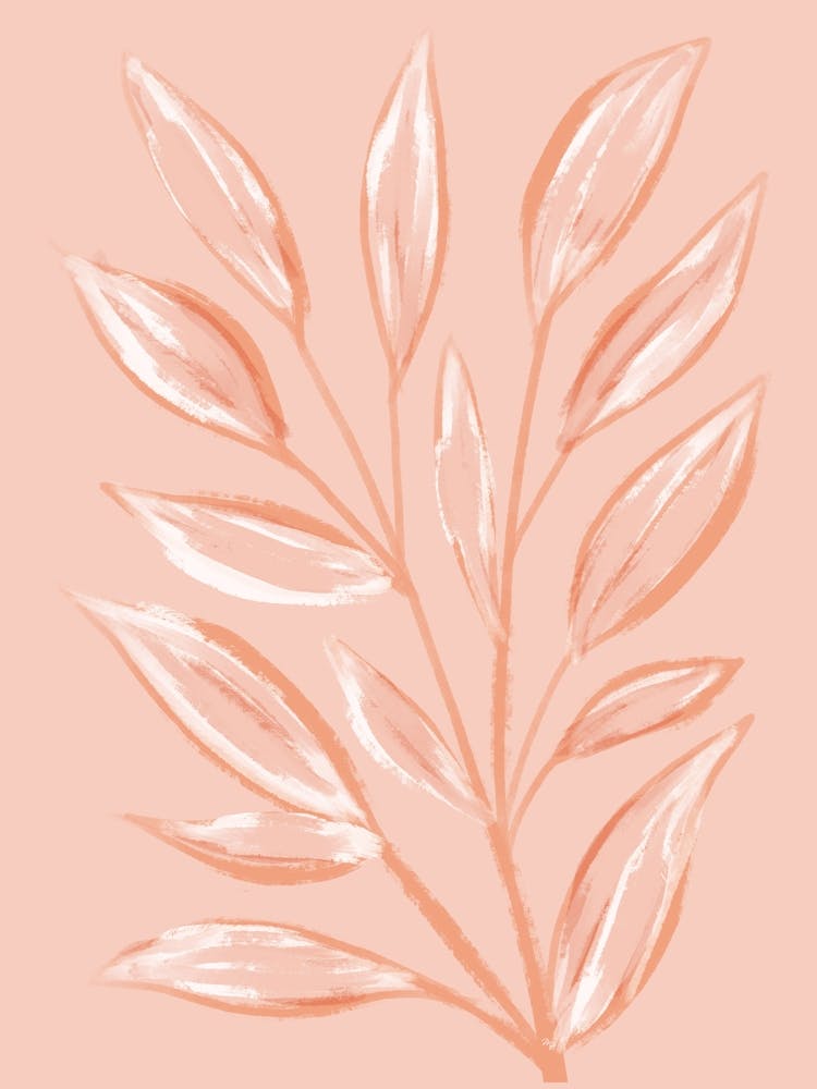 Minimalist Pink Plant