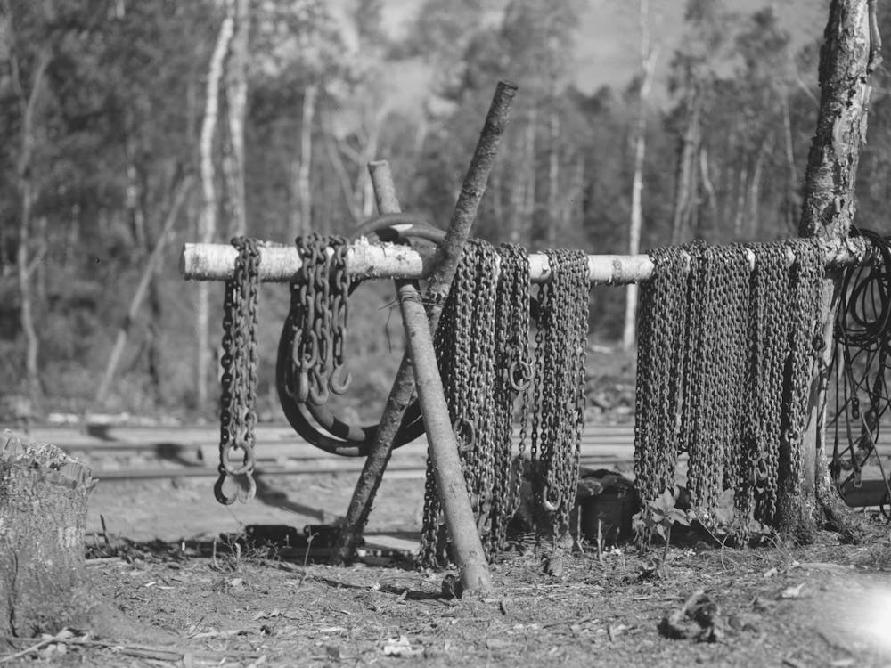 Chains At Lumber Camp Near Effie, Minnesota By Russell Lee 1