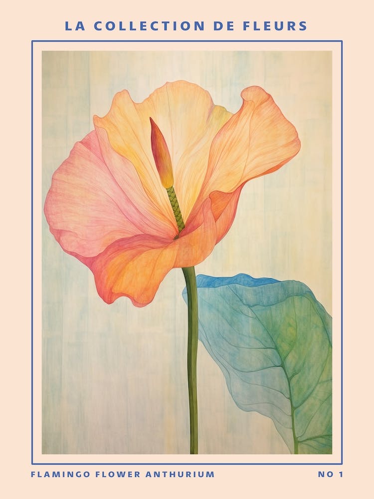 Flamingoblume Anthurium Französische Blume Botanisches Plakat