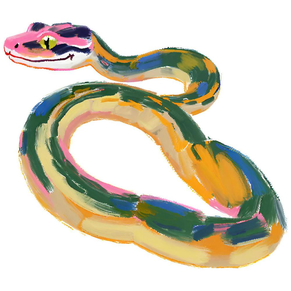 Ball Python Snake 02