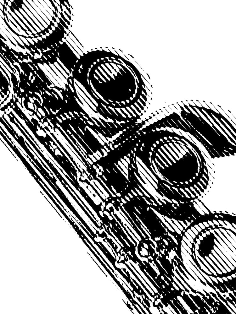 Flute
