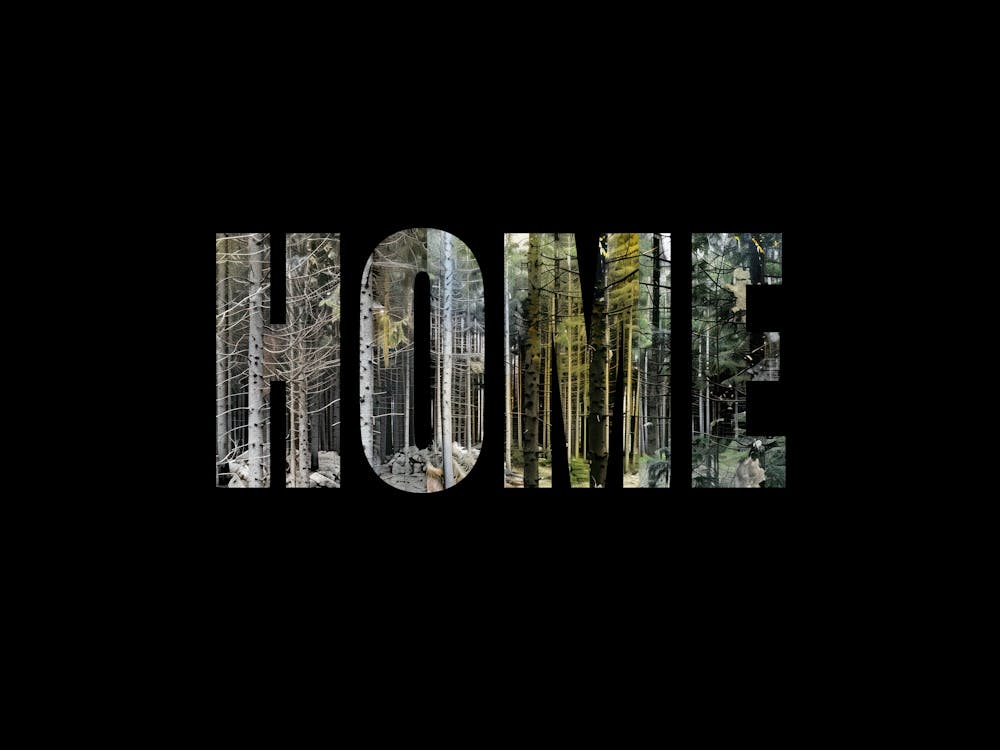 Home Poster Forest Collage Vintage 1