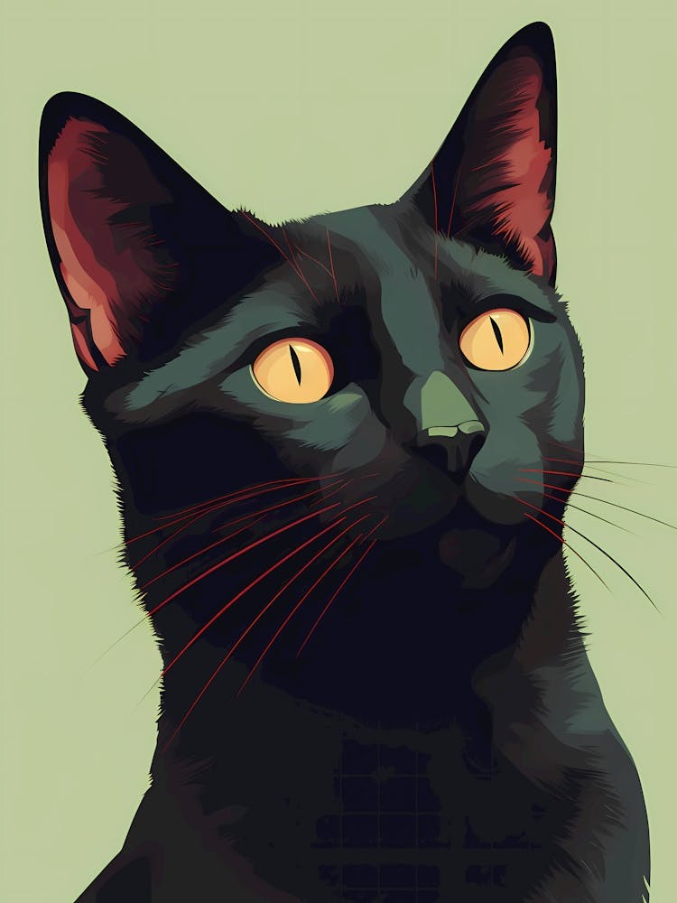 Black Cat Illustration on a Green Background