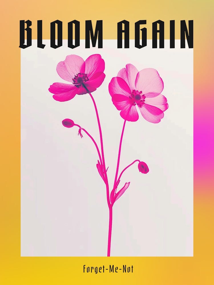 Leuchtendes Pink Vergissmeinnicht 1 Poster