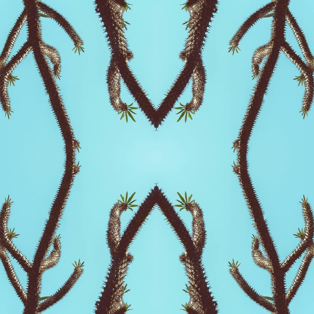 Chain Reaction