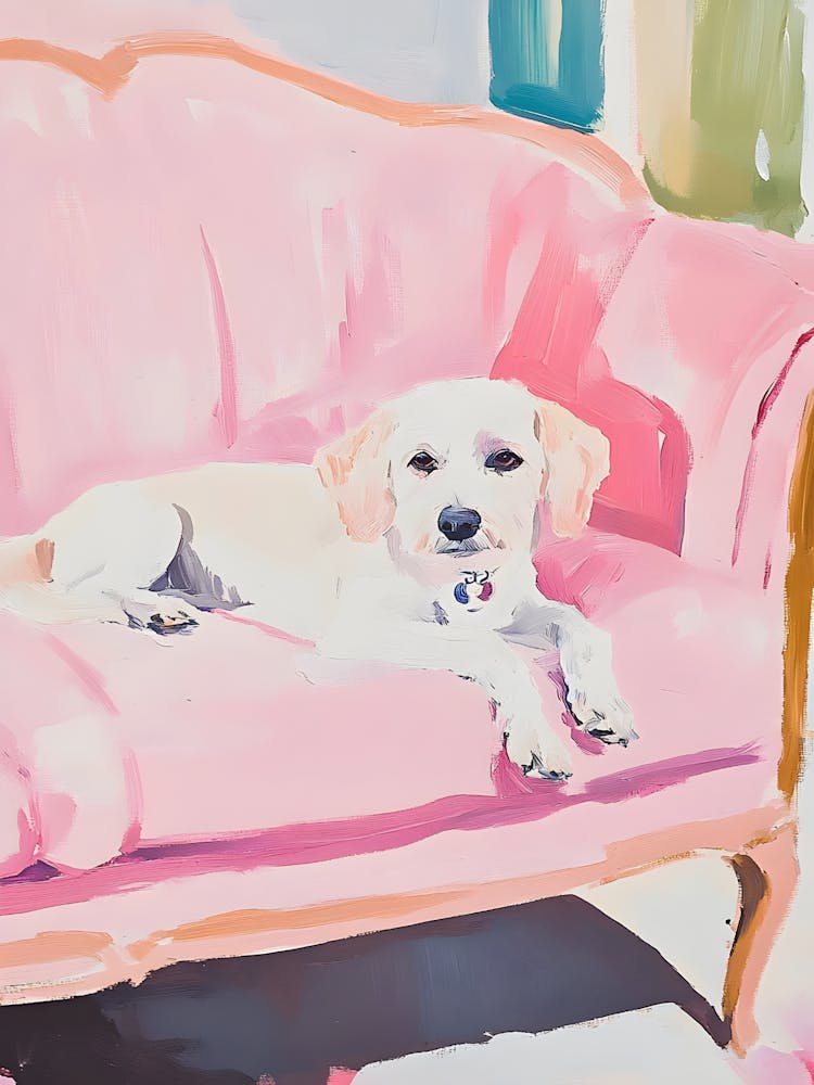 Pink Couch 1