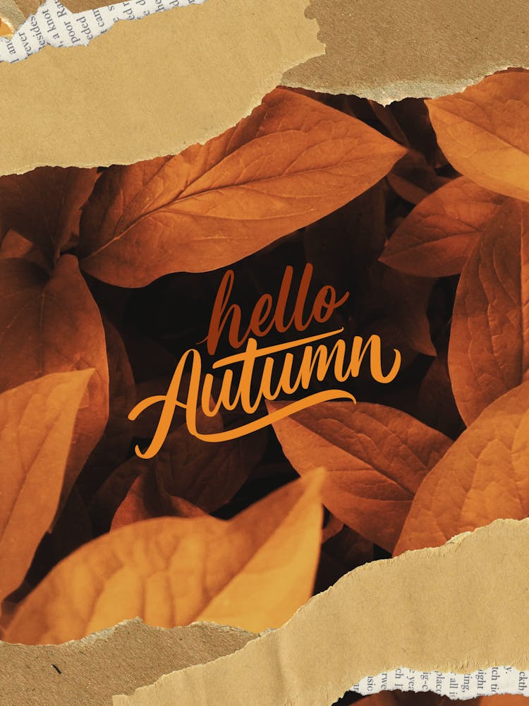 Hello Autumn