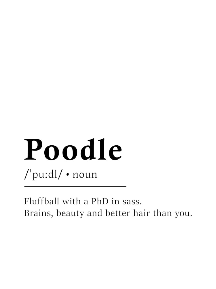 Poodle Definition Poster - Dictionary