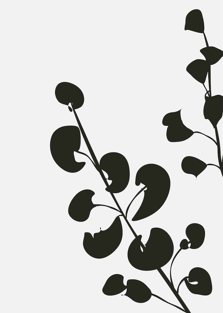 Abstract Botanical Black and Beige Art 13