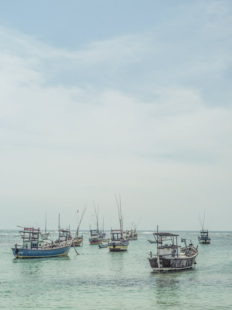 Sea & Salt