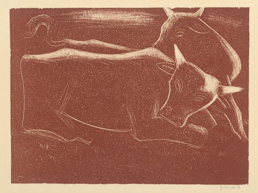 Cows, Mikuláš Galanda 1