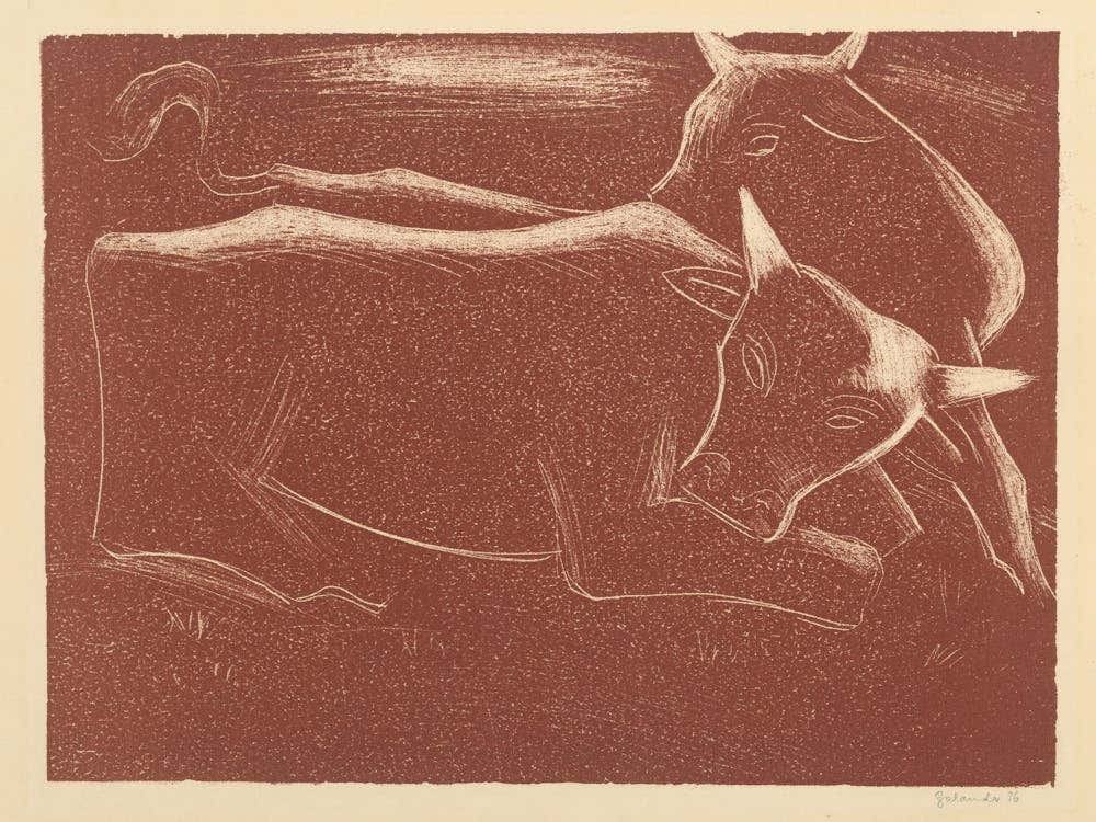 Cows, Mikuláš Galanda 1