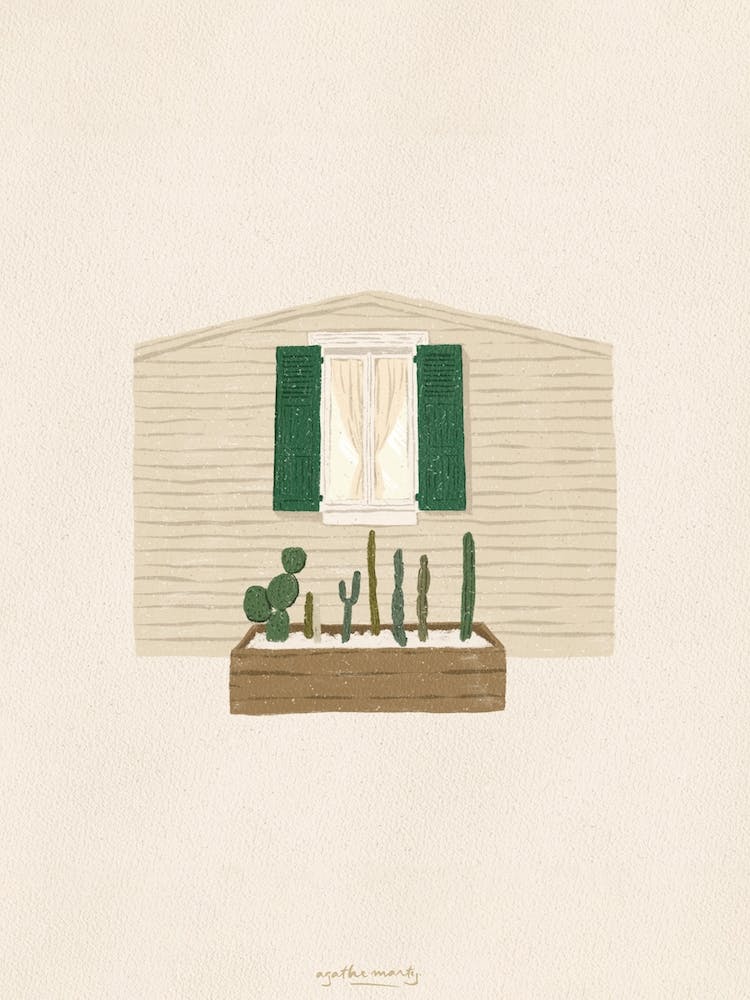 The Cactus House