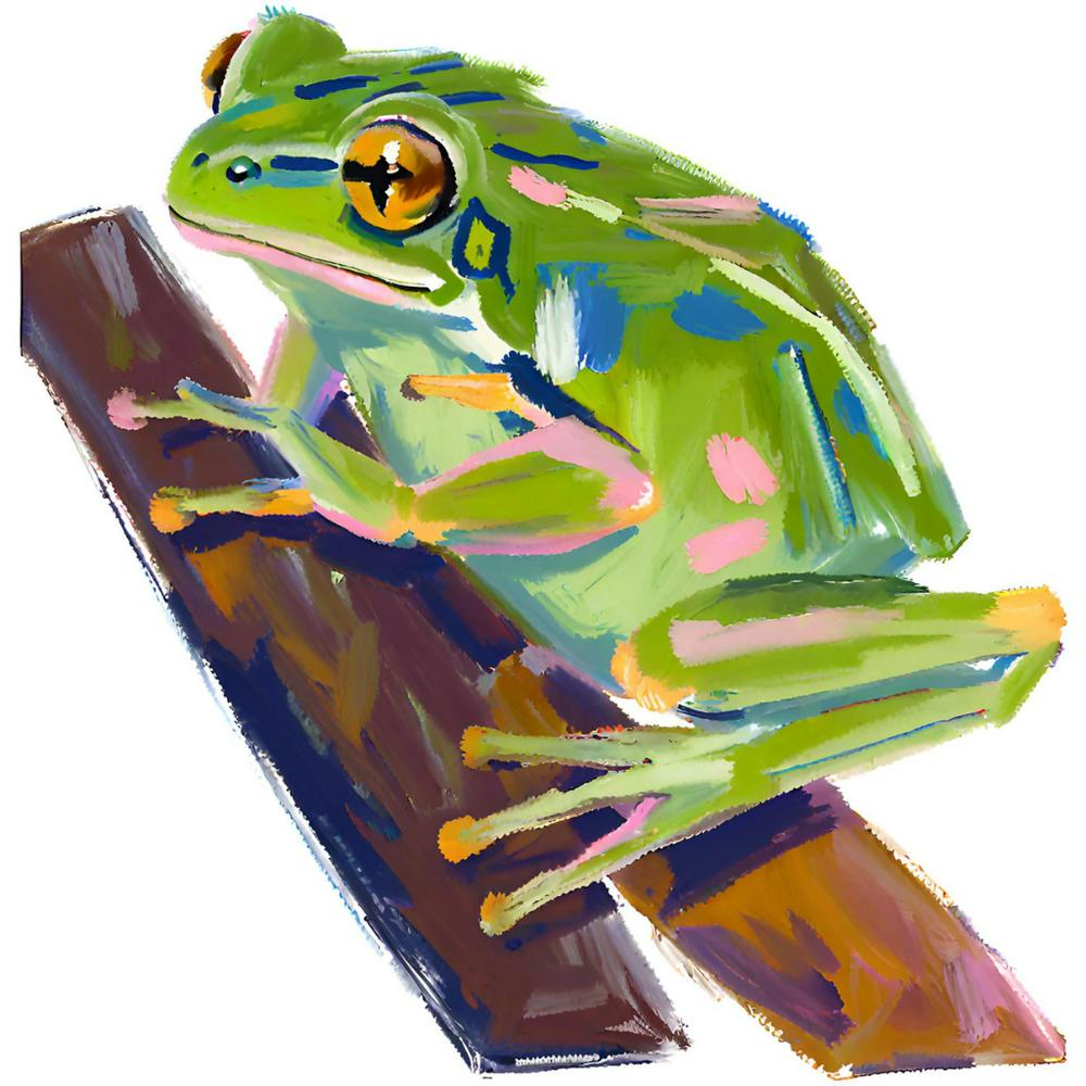 Green Tree Frog 04