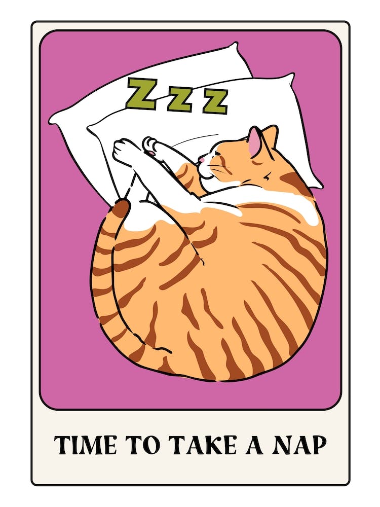 Take A Cat Nap Tarot