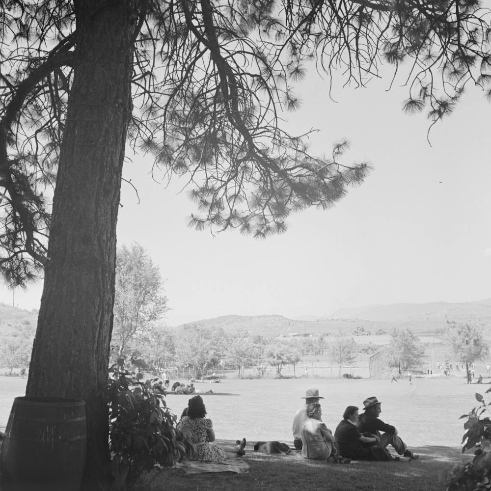 Untitled Photo, Possibly Related To Klamath Falls, Oregon, Sunday Afternoon In The City Park By Russell Lee 3