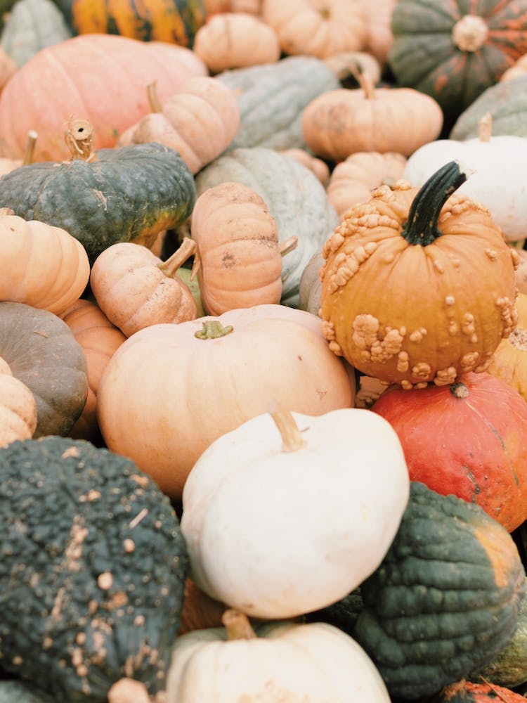 Fall Pumpkins