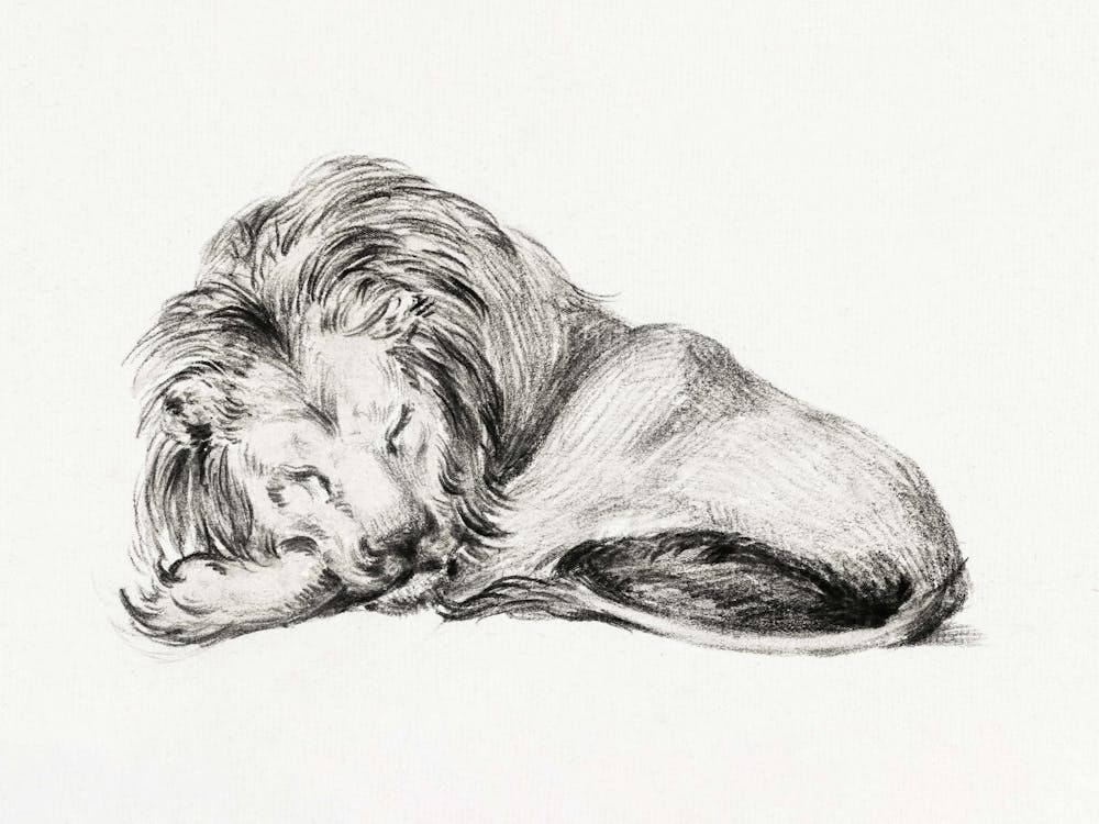 Lion Allongé, Jean Bernard