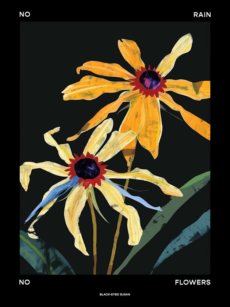 No Rain No Flowers Poster Black Poster Eyed Susan 1