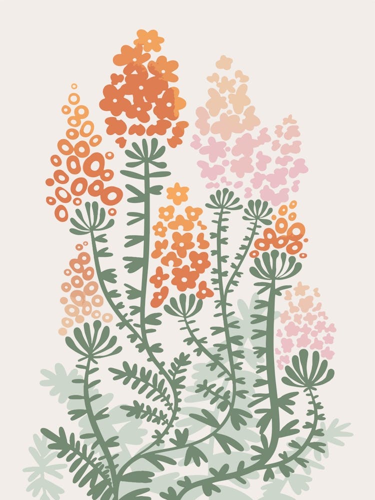 Fleurs Sauvages 1