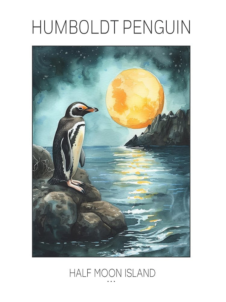 Humboldt Penguin Half Moon Island Watercolour Painting 1 Poster
