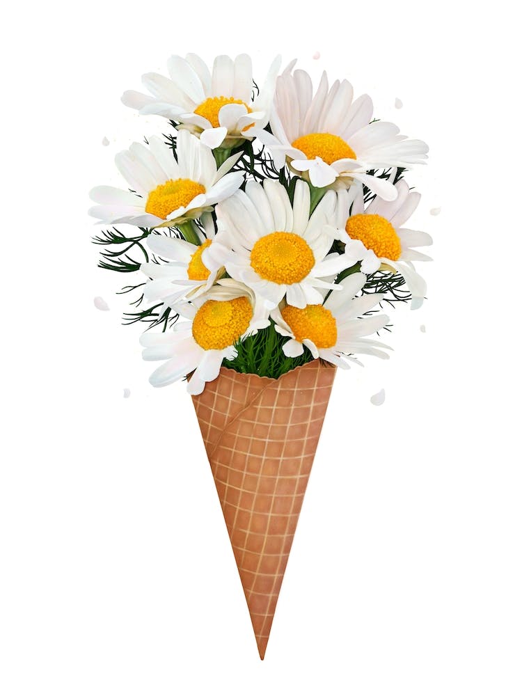 Ice Cream With Chamomile