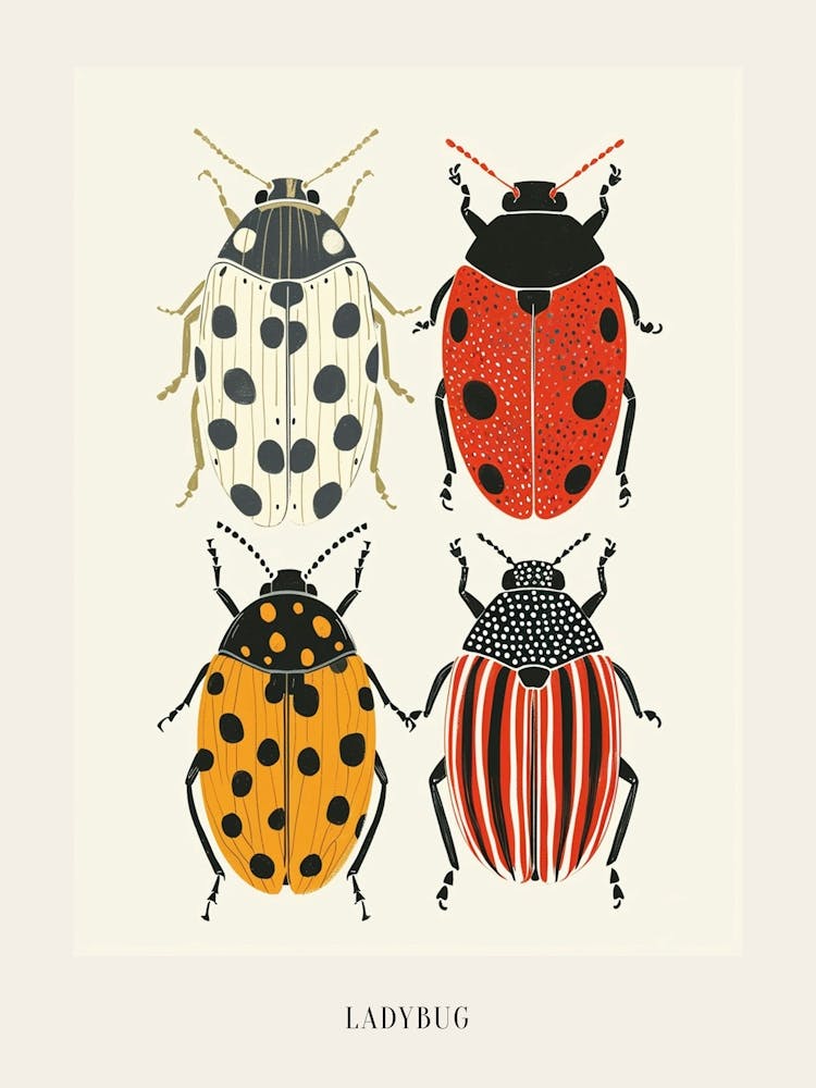 Colourful Insect Illustration Ladybug 9 Poster