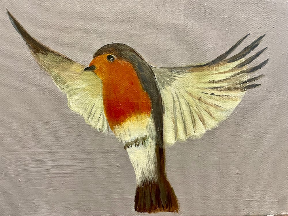 Robin
