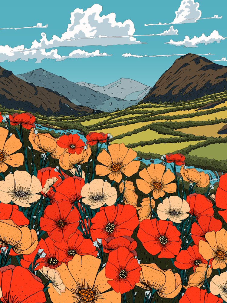 Mohnblumen Im Tal