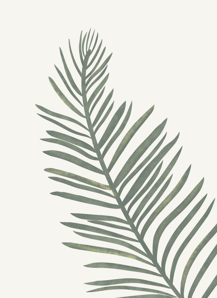 Emerald Palm