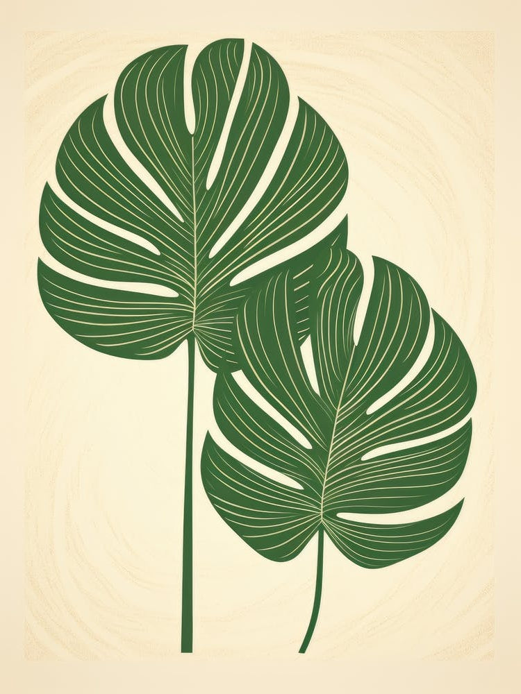Monstera Leaves