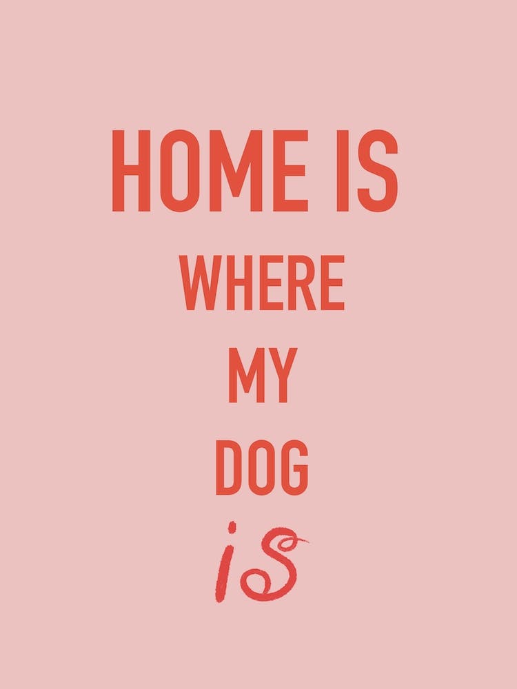 Home Is Where My Dog Is