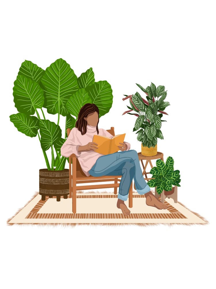 Mia Books And Plants