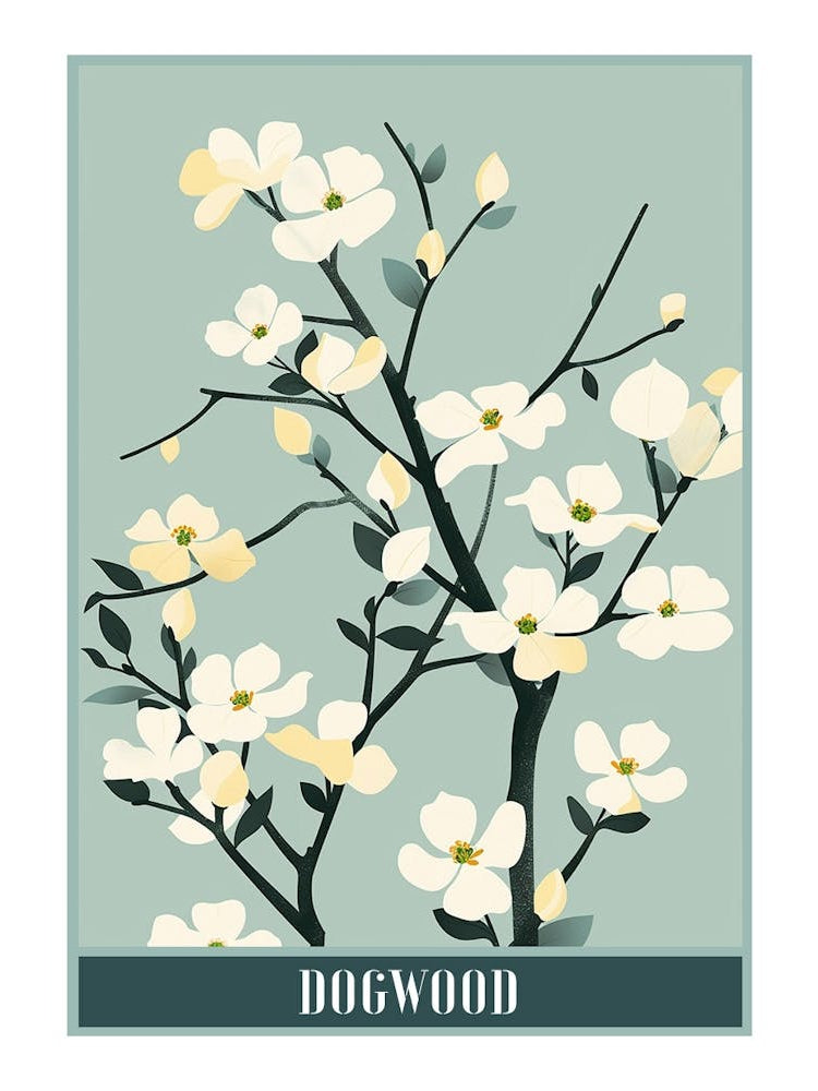 Dogwood Tree Flat Illustration 3 Poster