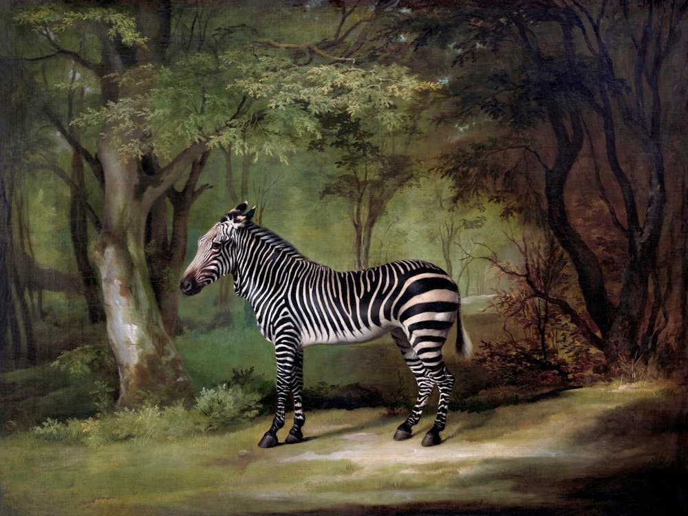 Zèbre dans les bois, Art vintage sombre et mélancolique