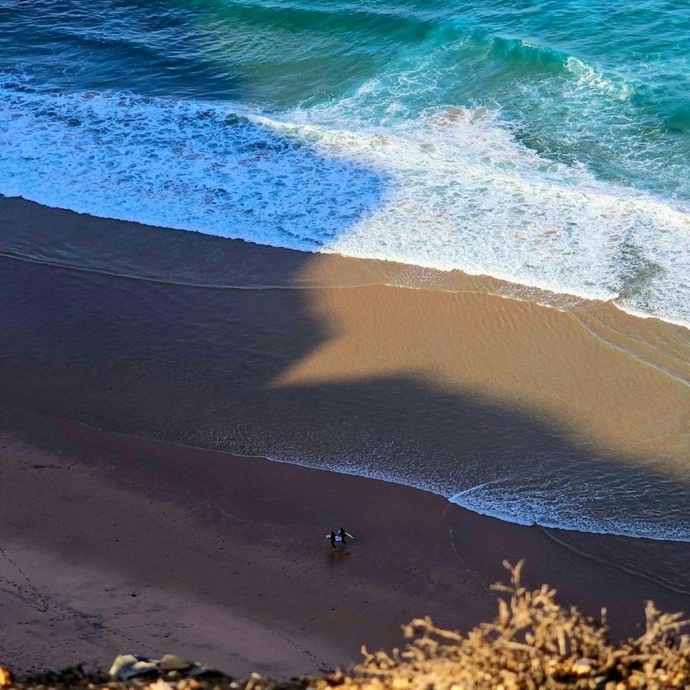 Surfers