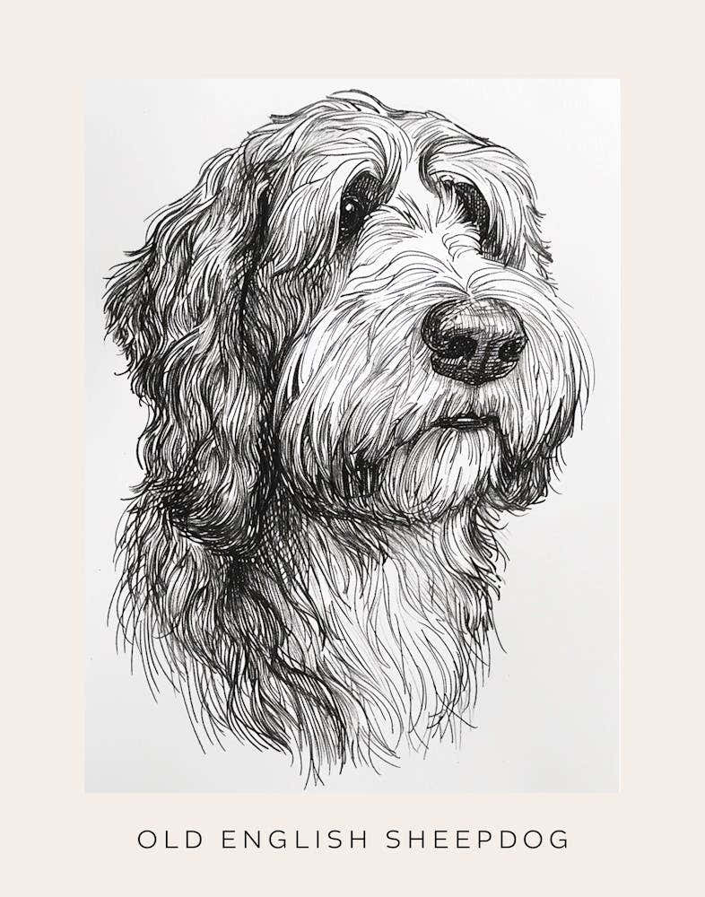 Old English Sheepdog Line Sketch 2 Poster